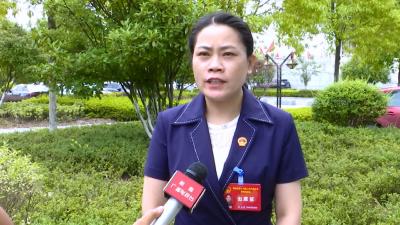 视频丨两会声音：蓝图已绘就  扬帆再出发