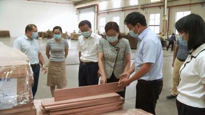 视频丨赵少莲调研园区重点项目建设  要求要咬定全年经济社会发展目标夺取“双胜利”