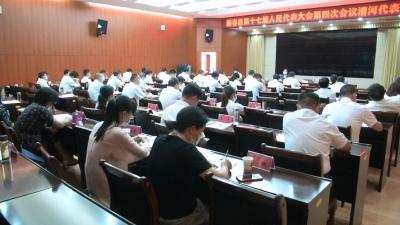 视频丨代表分组审议县人大常委会工作报告和“两院”工作报告 