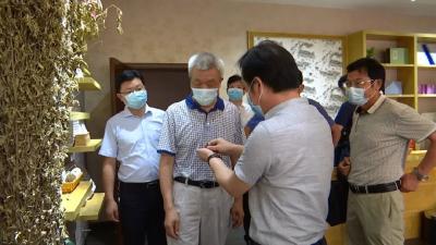 视频丨省药监局支持李时珍品牌和蕲艾产业发展