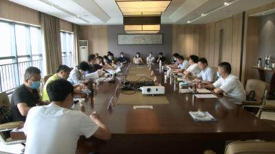 视频丨省文旅厅专家组指导蕲春国家中医药健康旅游示范区创建