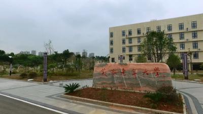 视频丨打歪风 祛邪气 营造良好政治生态