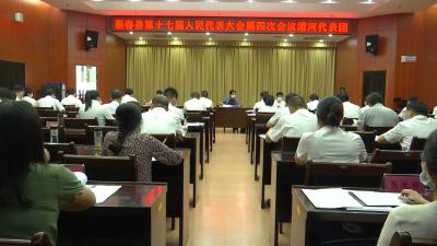 视频丨赵少莲参加漕河代表团审议