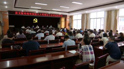视频丨县文旅局接受人大评议