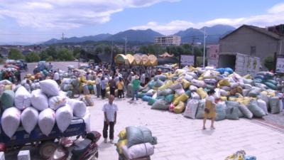 视频丨蕲艾堂上门收购  确保蕲艾应收尽收