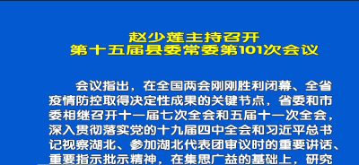 视频丨赵少莲主持召开第十五届县委常委第101次会议