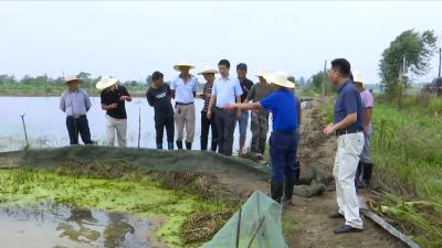 视频丨江堤防汛指挥部：克服麻痹厌战情绪  联防联保安全度汛