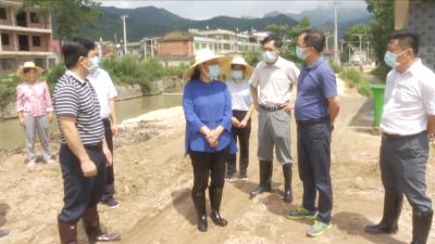 视频丨赵少莲：防汛抗洪毫不放松  灾后重建加速推进