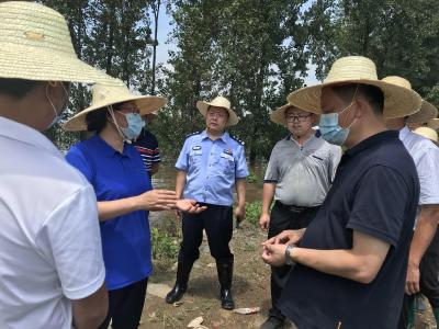 视频丨赵少莲检查指导外江横堤分洪准备工作