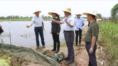 视频丨赵少莲:牢牢把握主动权  奋力夺取防汛救灾的全面胜利