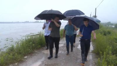 视频丨詹才红：全力以赴抓好雨情汛情应对防范