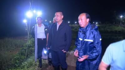 视频丨詹才红检查督导长江干支堤防汛抢险