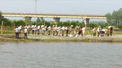 视频丨200名干群奋战7小时 八里湖土泥港散浸成功控制