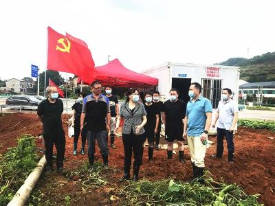 视频丨下沉一线常态化  赵少莲詹才红督导防汛抗灾