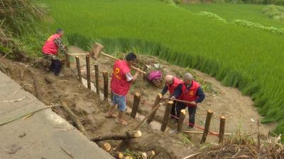 视频丨各地积极抗洪抢险  确保生命财产安全