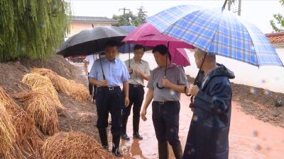 视频丨詹才红检查指导江堤防汛
