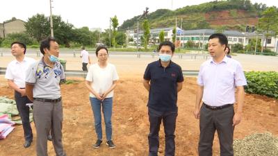 视频丨官书云来我县检查指导防汛工作
