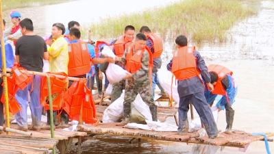 视频丨新闻特写：众志成城抢大险
