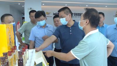 视频丨詹才红走访调研  为企业纾困解难