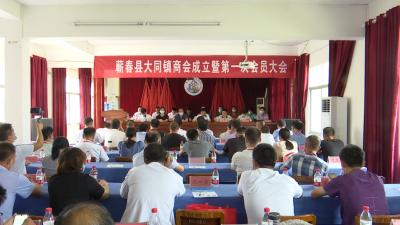 视频丨大同镇商会成立