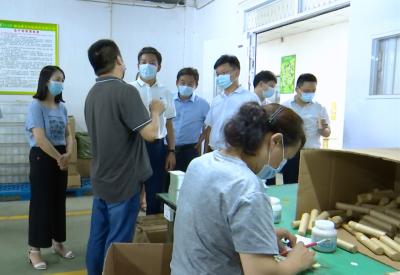 视频丨市领导调研蕲春工业经济灾后复工复产