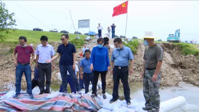视频丨水利部调研组指导蕲春长江防汛