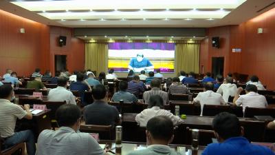 视频丨统筹抓好当前各项工作 加快推进经济社会发展