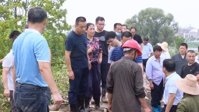 视频丨詹才红检查排涝和抢险工作