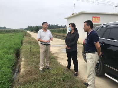 视频丨赵少莲到河西调研防汛抗灾工作