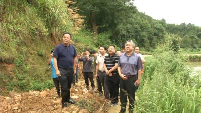 视频丨省专家指导组来蕲调查指导地质灾害防治