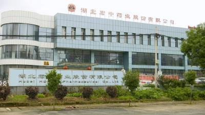 视频丨宏中药业：创新助力企业逆势发展