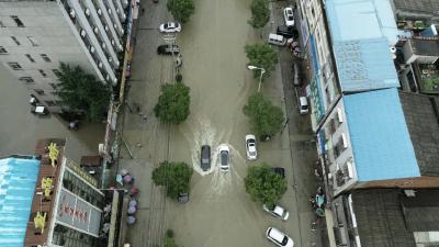 视频丨漕河城区水往哪里去？