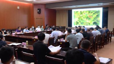 视频丨县规划评审委员会综合评审33个项目
