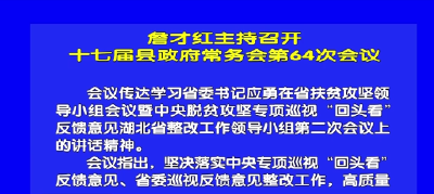 视频丨詹才红主持召开十七届县政府常务会第64次会议