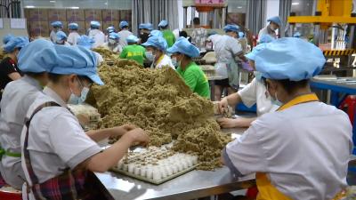 视频丨蕲艾堂：抢抓大健康产业发展机遇  稳生产保质量促发展