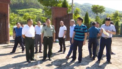 视频丨武汉军事检察院来蕲调研烈士纪念设施管理保护
