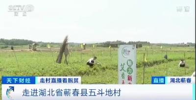 年产值破100亿元，每年带动1.1万户家庭脱贫!这个县靠的啥“灵丹妙药”?