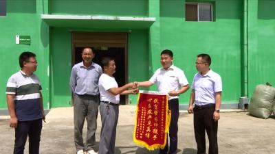 视频丨艾企上门收蕲艾 艾农吃下“定心丸”
