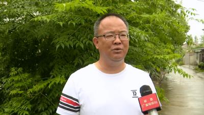 视频丨杨振武：优化营商环境 推进护航行动