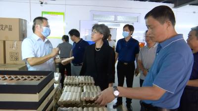 视频丨河北省馆陶县来蕲考察大健康产业