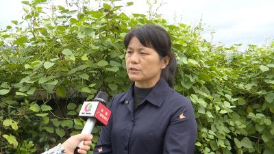 视频丨李小珍：德孝持小家  勤廉治大家