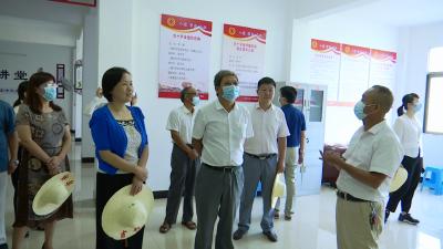 视频丨县人大常委会开展执法检查