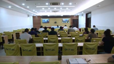 视频丨全市推进省级森林城市创建