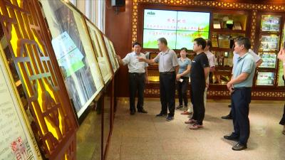 视频丨我县创建国家现代农业产业园成效明显