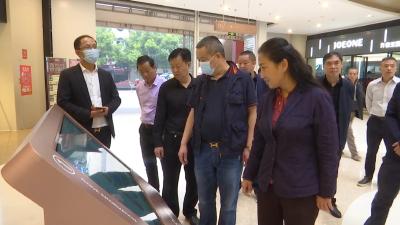 视频丨县人大常委会开展专项执法检查