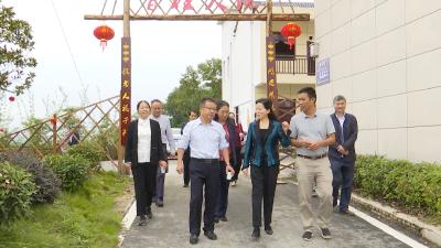 视频丨市人大常委会调研地方性法规实施情况