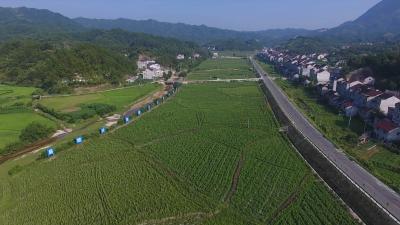 视频丨市领导来我县调研生态环保重点工作