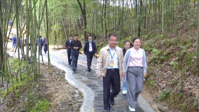 视频丨县人大常委会视察全县国家中医药健康旅游示范区创建工作