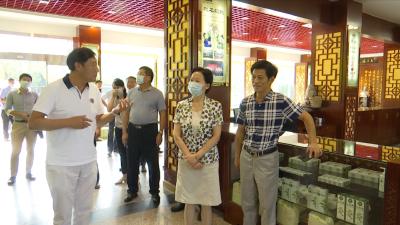 视频丨市人大常委会调研我县科技创新情况