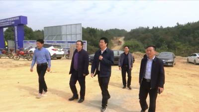 视频丨乡镇项目建设和产业发展方兴未艾